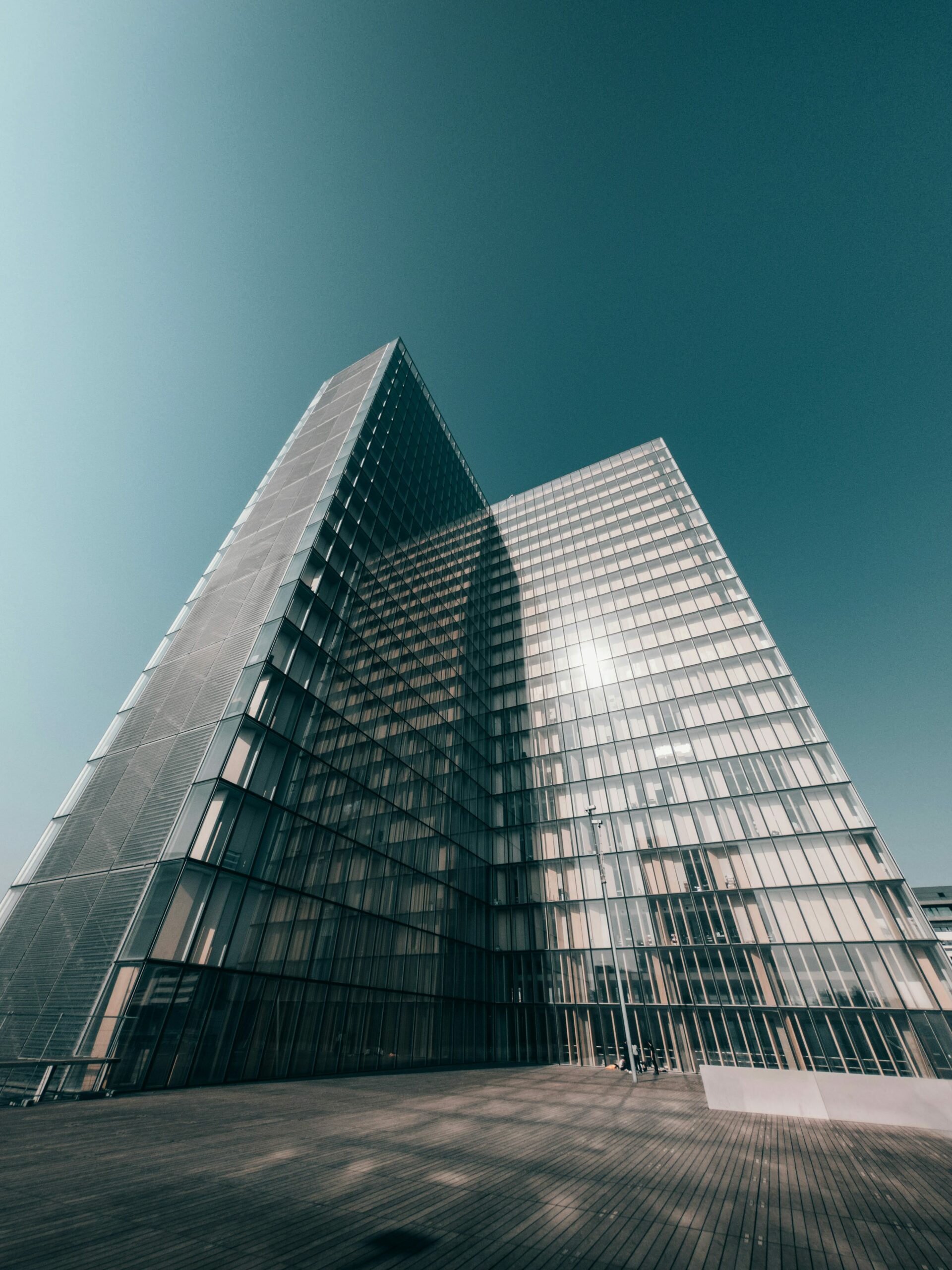 Tour de la Bibliothèque nationale de France, site François-Mitterrand, Paris
